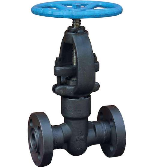 Forged Steel Gate Valve